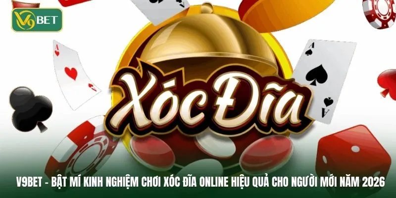 Bật mí kinh nghiệm chơi xóc đĩa online hiệu quả cho người mới năm 2026