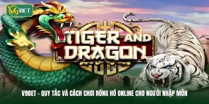 Quy tắc và cách chơi rồng hổ online cho người nhập môn