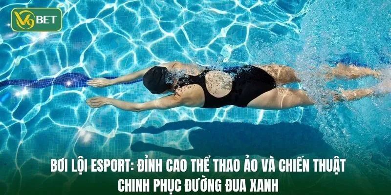 Bơi lội Esport: Đỉnh cao thể thao ảo và chiến thuật chinh phục đường đua xanh