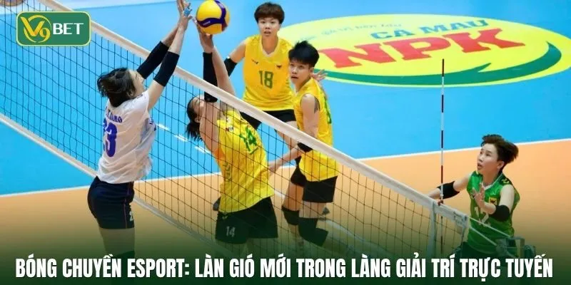 Bóng chuyền Esport: Làn gió mới trong làng giải trí trực tuyến