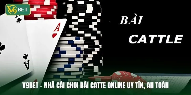 Khám phá sảnh chơi bài Catte online hấp dẫn